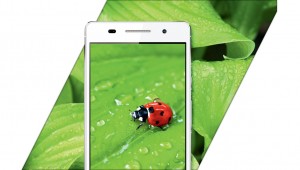 Le mode macro du Huawei Ascend P6. Le mode macro du Huawei Ascend P6.