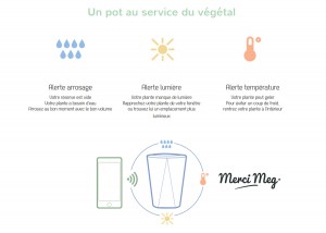 Le pot de fleur connecté. Un must pour le geek. Le pot de fleur connecté. Un must pour le geek.