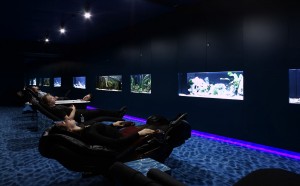 Se relaxer avec les poissons chez Google à Zurich. Se relaxer avec les poissons chez Google à Zurich.