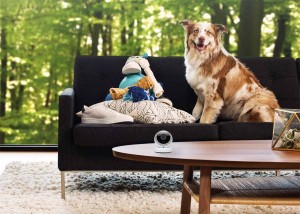 La caméra Logi Circle par Logitech. La caméra Logi Circle par Logitech.