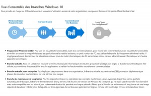 Les différentes branches de Windows 10. Les différentes branches de Windows 10.