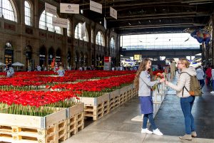Swisscom offre des fleurs à Zurich. Swisscom offre des fleurs à Zurich.