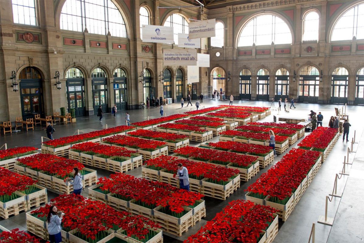 Swisscom offre des fleurs à Zurich.