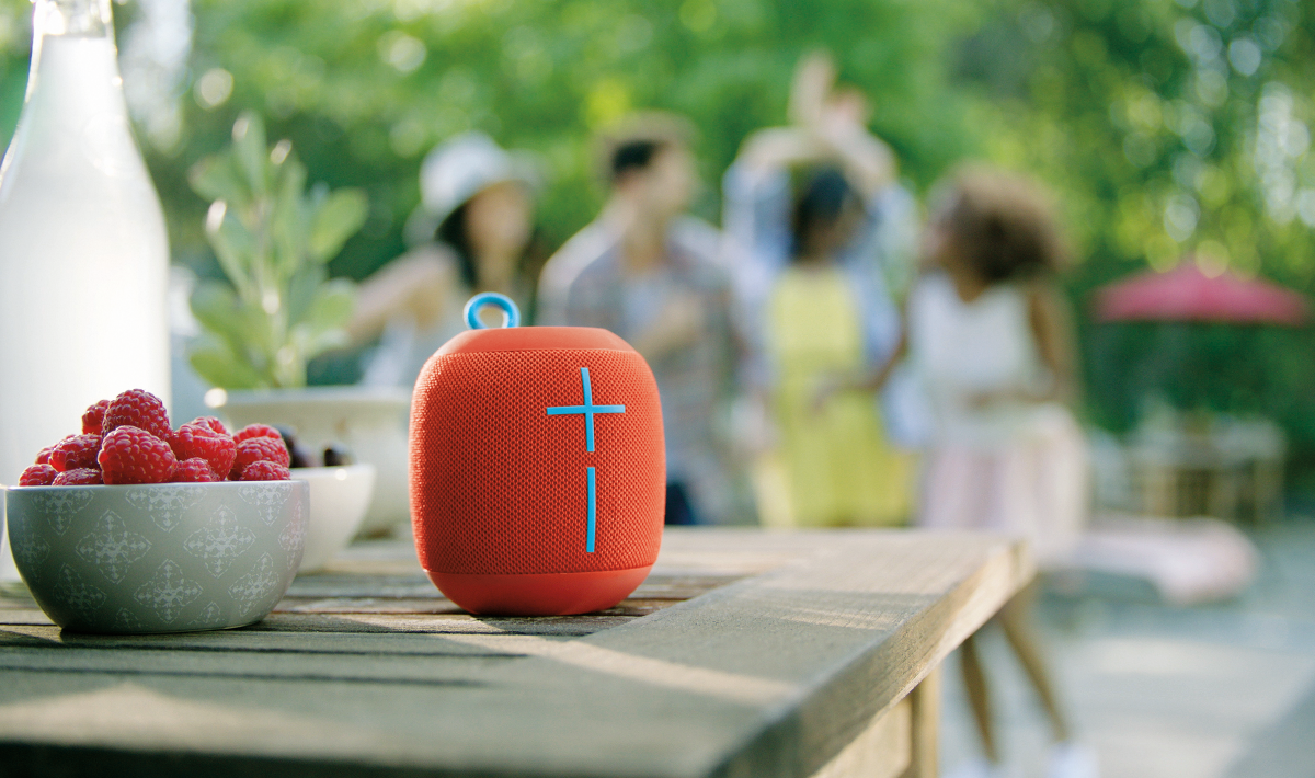L'UE Wonderboom de Logitech.