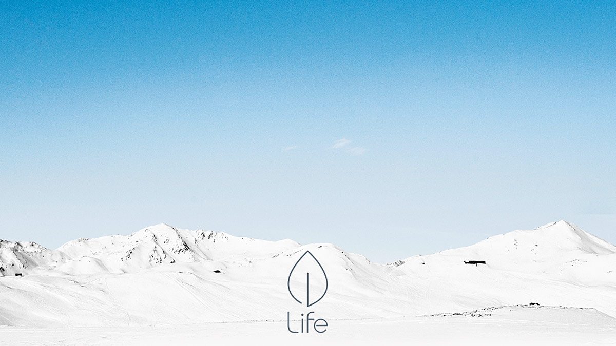 Life: un réseau personnel, qui a pour but de donner une nouvelle dimension aux relations interpersonnelles. Life: un réseau personnel, qui a pour but de donner une nouvelle dimension aux relations interpersonnelles.