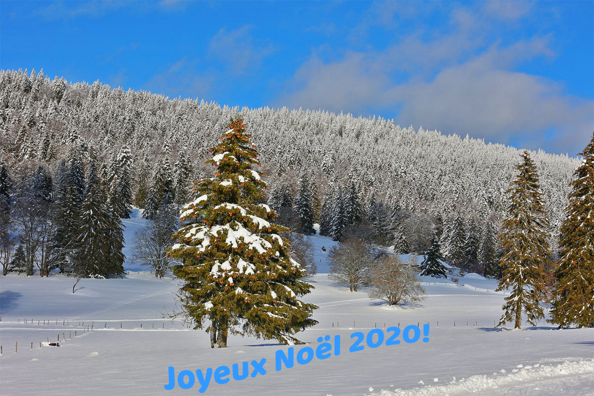 Joyeux Noël 2020! Joyeux Noël 2020!