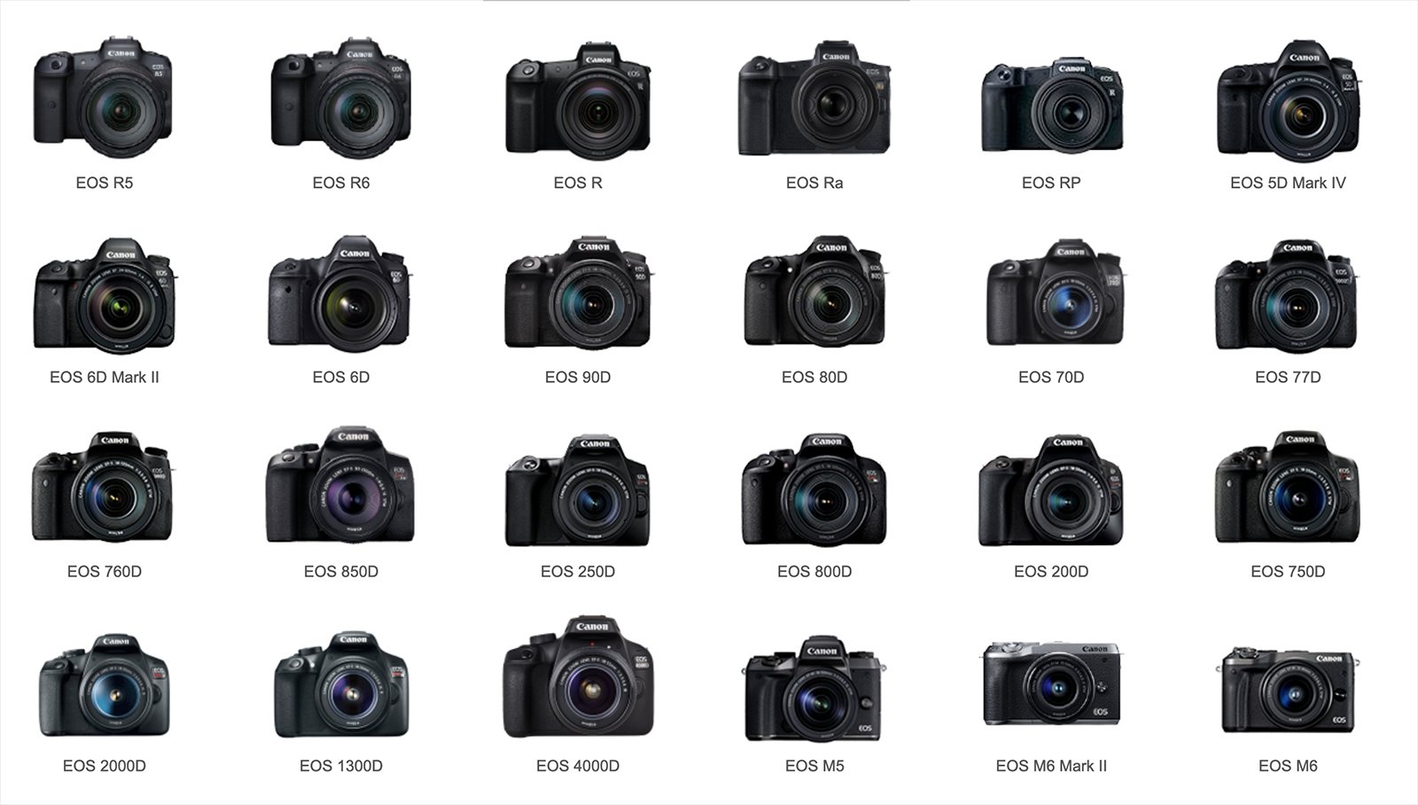 image.canon: pratique, mais perfectible. image.canon: pratique, mais perfectible.
