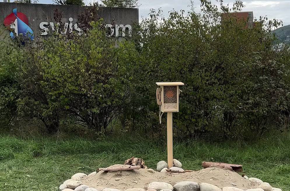 Swisscom veut défendre les abeilles sauvages.