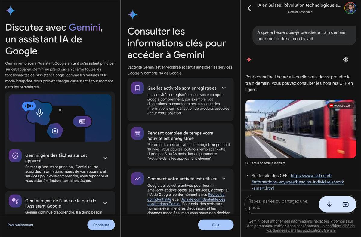 Début du test de l'application Gemini.