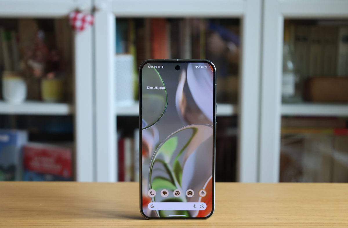 Le Google Pixel 9 Pro XL.